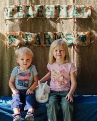 Jacksonville summer camps