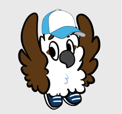 Jacksonville summer camps